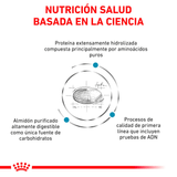 VHN ANALLERGENIC CAT - BASADA EN LA CIENCIA